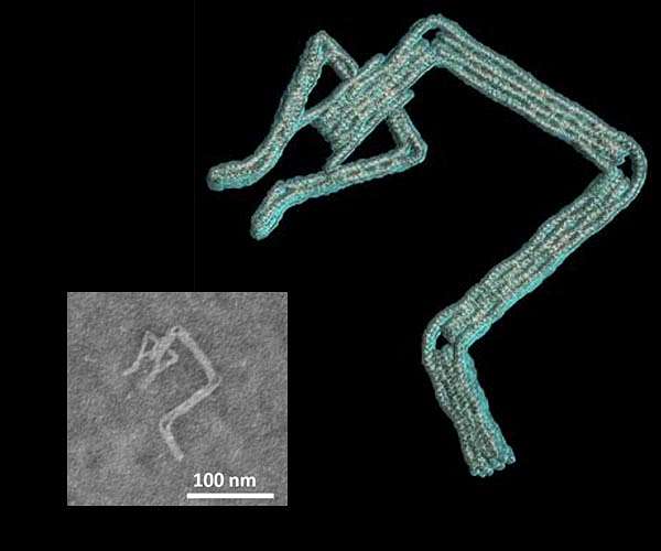 DNA robots designed in minutes instead of days