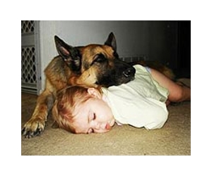 Pet lovers take blogging to the next level