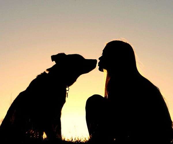 How humans and dogs began their longstanding bond 12000 years ago