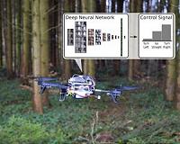 Drones learn to search forest trails for lost people