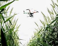 Drone buzzes above vineyard helping Luxembourg winegrower
