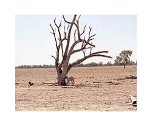 Man dies of thirst in Australian Outback