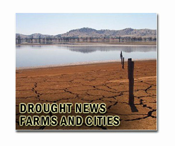 UN warns global drought carries $300 bn annual cost