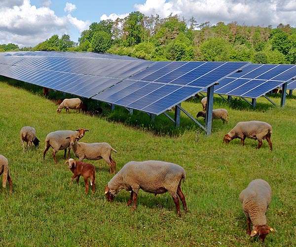US pledges $3 billion to green climate fund at COP28