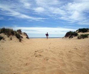 Conservation of coastal dunes is threatened by poorly designed infrastructure