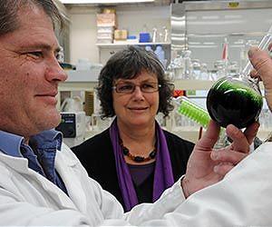 New sustainable bio-derived jet fuel industry is achievable