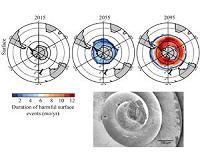 Rapidly acidifying waters pose major threat for Southern Ocean ecosystem