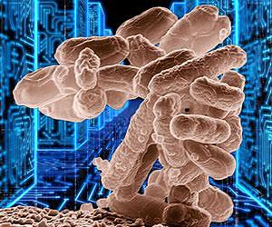 Deadly E. coli spreads, cause unknown