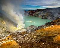Scientists identify molecule that could have helped cells thrive on early Earth