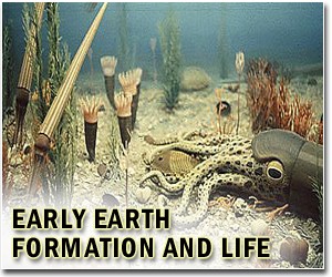 Ancient critter could be the granddaddy of shellfish