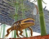 Permian Extinction Not A Global Event