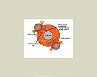 Earth's core and mantle separated in a disorderly fashion