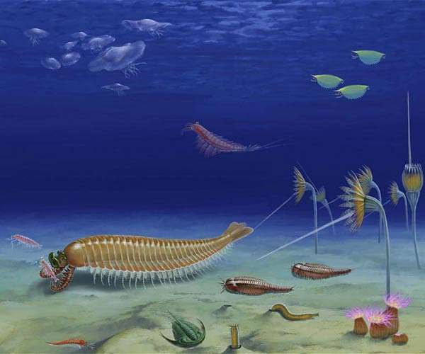 A 520-million-year-old five-eyed fossil reveals arthropod origin