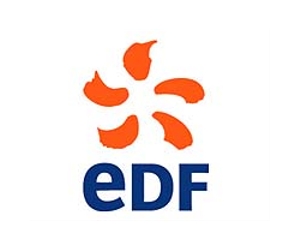 France's EDF designs reactor to challenge Areva: report