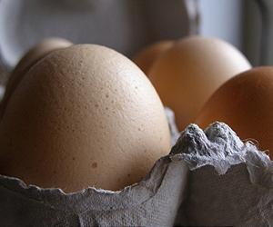 'Contaminated' German eggs exported to Netherlands
