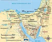 Egypt killed 241 Sinai militants from July 1-5: army