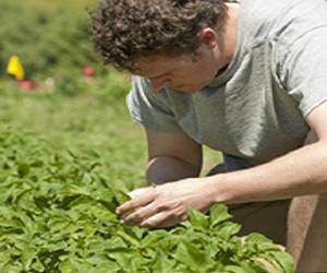 Fast Growth, Low Defense - Plants Facing A Dilemma