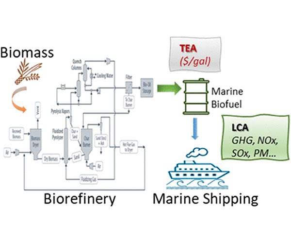 Environmental concerns propel research into marine biofuels