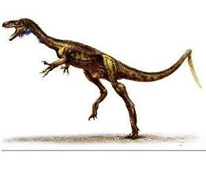 Dating Sheds New Light On Dawn Of The Dinosaurs