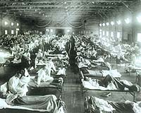 Study Uncovers A Lethal Secret Of 1918 Influenza Virus
