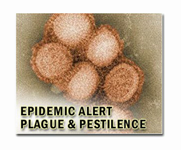 Plague transmission rates increased from the Black Death to the Great Plague