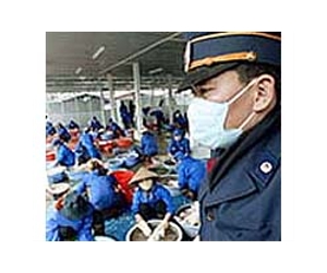 Bird flu claims second victim this year in Vietnam