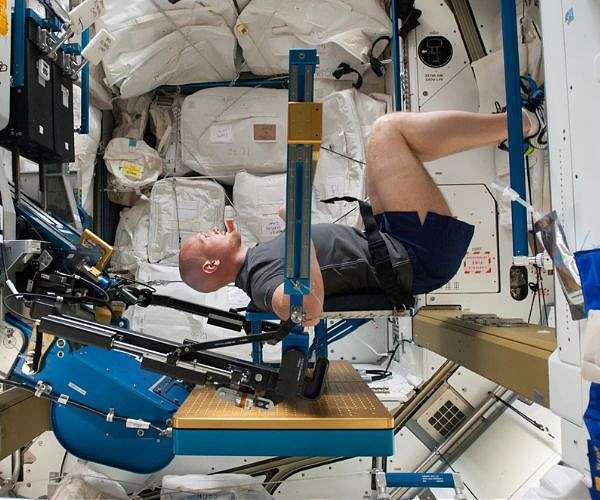 Counteracting Bone And Muscle Loss In Microgravity
