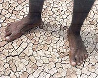New Digital Map Of Africa's Depleted Soils