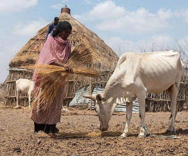 The mixed fortunes of development aid