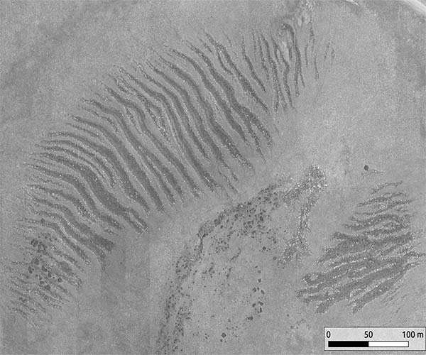 Glaciers and enigmatic stone stripes in the Ethiopian highlands