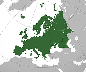 Europe Mulls Ways To End Air Traffic Chaos