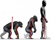 New Findings Solve Human Origins Mystery