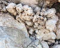 Alkaline soil, sensible sensor