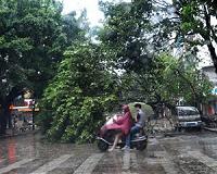 Hongkongers battle debris to get to work after devastating typhoon