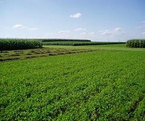 Reducing Fossil Energy Use On The Farm