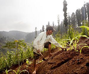 Soil biodiversity crucial to future land management and response to climate change