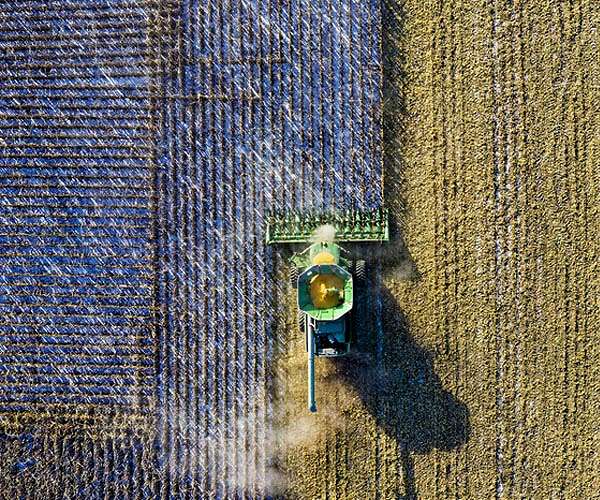 Food production impacting Earth and its natural processes