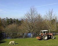 Galicia's abandoned villages get new lives