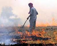 Scientists publish strategy for carbon neutral land sector by 2040