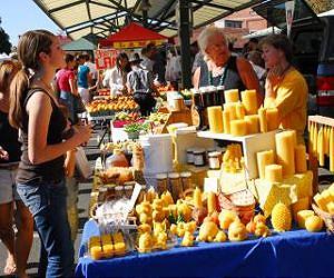 Chemical analysis reveals first cheese making in Northern Europe in the 6th millennium BC