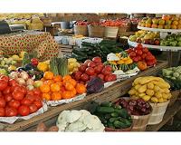 Fruit, vegetable shapes controlled by newly discovered genetic mechanism