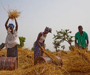 A helping hand from above for The Gambia