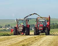 Strategic Farming Practices Could Help Mitigate Global Warming