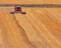 Dyadic Joins Dutch Group To Produce Ethanol From Sugar Beet Pulp And Wheat Bran