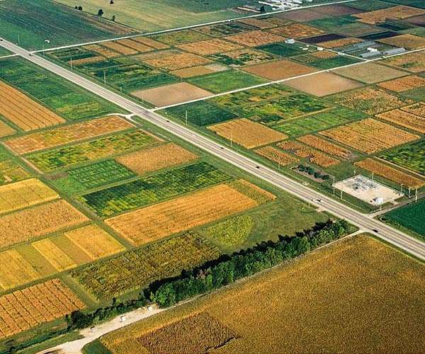 Powerful sensors on planes detect crop nitrogen with high accuracy
