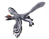 What color were fossil animals