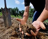 Researchers build trenches to curb nitrogen runoff, algae growth
