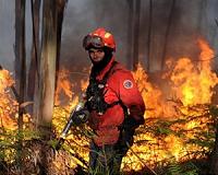 Portugal battling fresh wildfires
