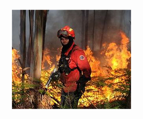 Portugal hopes cooler temperatures will tame wildfires
