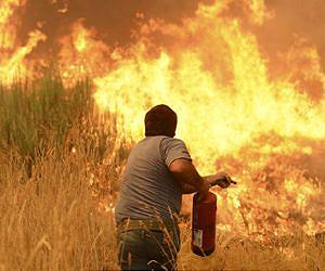 Portugal calls for more help to tackle deadly forest fires